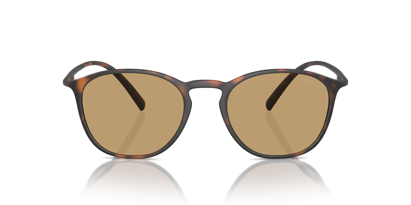 Giorgio Armani AR8186U Havana/Dark Brown #colour_havana-dark-brown