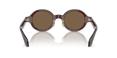 Giorgio Armani AR8205 Transparent Brown/Dark Brown #colour_transparent-brown-dark-brown