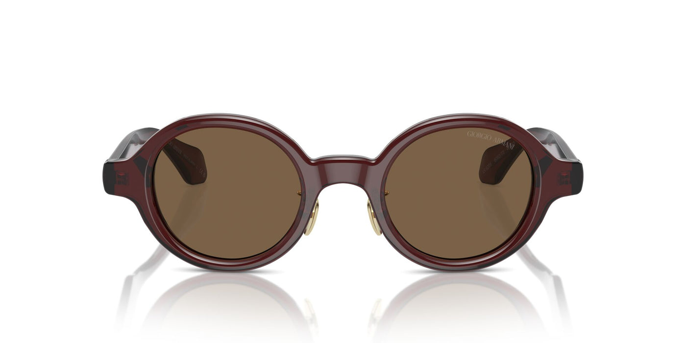 Giorgio Armani AR8205 Transparent Brown/Dark Brown #colour_transparent-brown-dark-brown