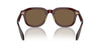 Giorgio Armani AR8206 Transparent Brown/Dark Brown #colour_transparent-brown-dark-brown