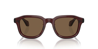 Giorgio Armani AR8206 Transparent Brown/Dark Brown #colour_transparent-brown-dark-brown