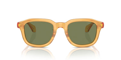 Giorgio Armani AR8206 Transparent Honey/Green #colour_transparent-honey-green