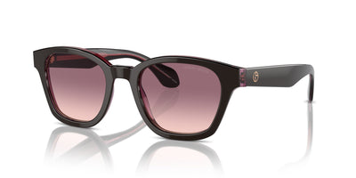 Giorgio Armani AR8207 Top Brown/Transparent Pink/Pink Violet Gradient #colour_top-brown-transparent-pink-pink-violet-gradient