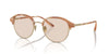 Giorgio Armani AR8215 Matte Honey Horn/Brown Photochromic #colour_matte-honey-horn-brown-photochromic