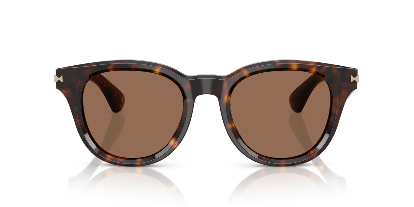 Burberry BE4439 Dark Havana/Dark Brown #colour_dark-havana-dark-brown