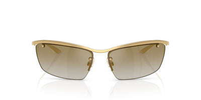 Dolce&Gabbana DG2307 Gold/Light Brown Gold Mirror #colour_gold-light-brown-gold-mirror