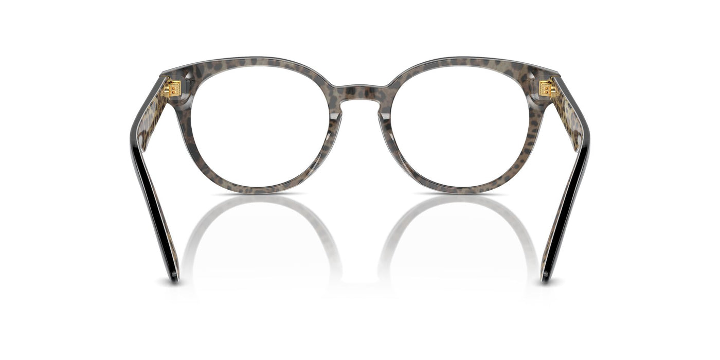 Dolce&Gabbana DG3361 Black On Leo Brown #colour_black-on-leo-brown