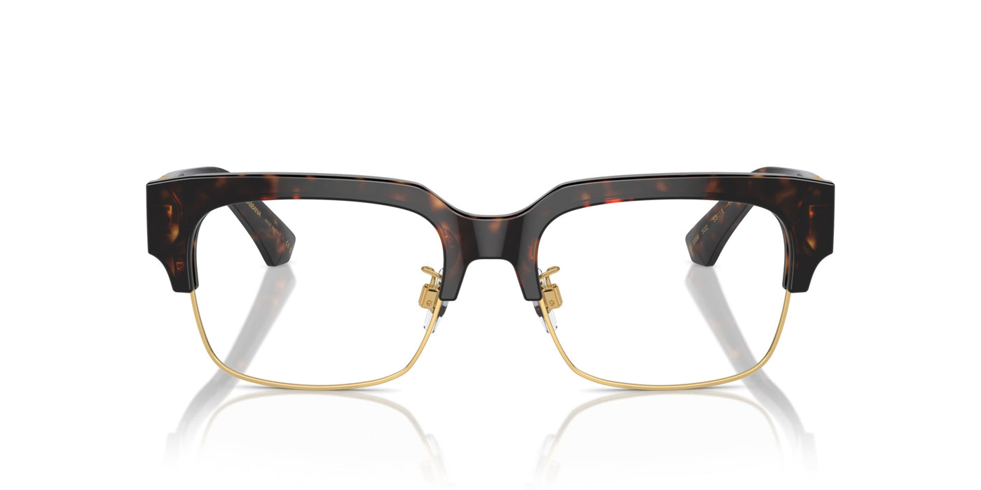 Dolce&Gabbana DG3388 Havana #colour_havana