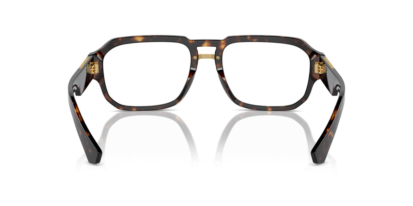 Dolce&Gabbana DG3389 Havana #colour_havana