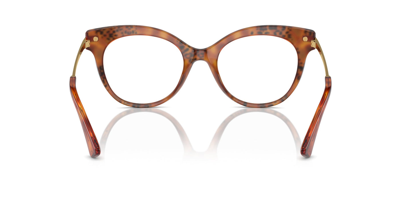 Dolce&Gabbana DG3392 Havana Leo #colour_havana-leo