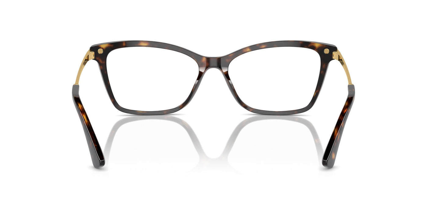 Dolce&Gabbana DG3393 Havana #colour_havana