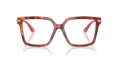 Dolce&Gabbana DG3397 Havana Brown #colour_havana-brown