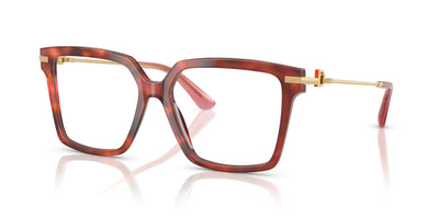 Dolce&Gabbana DG3397 Havana Brown #colour_havana-brown