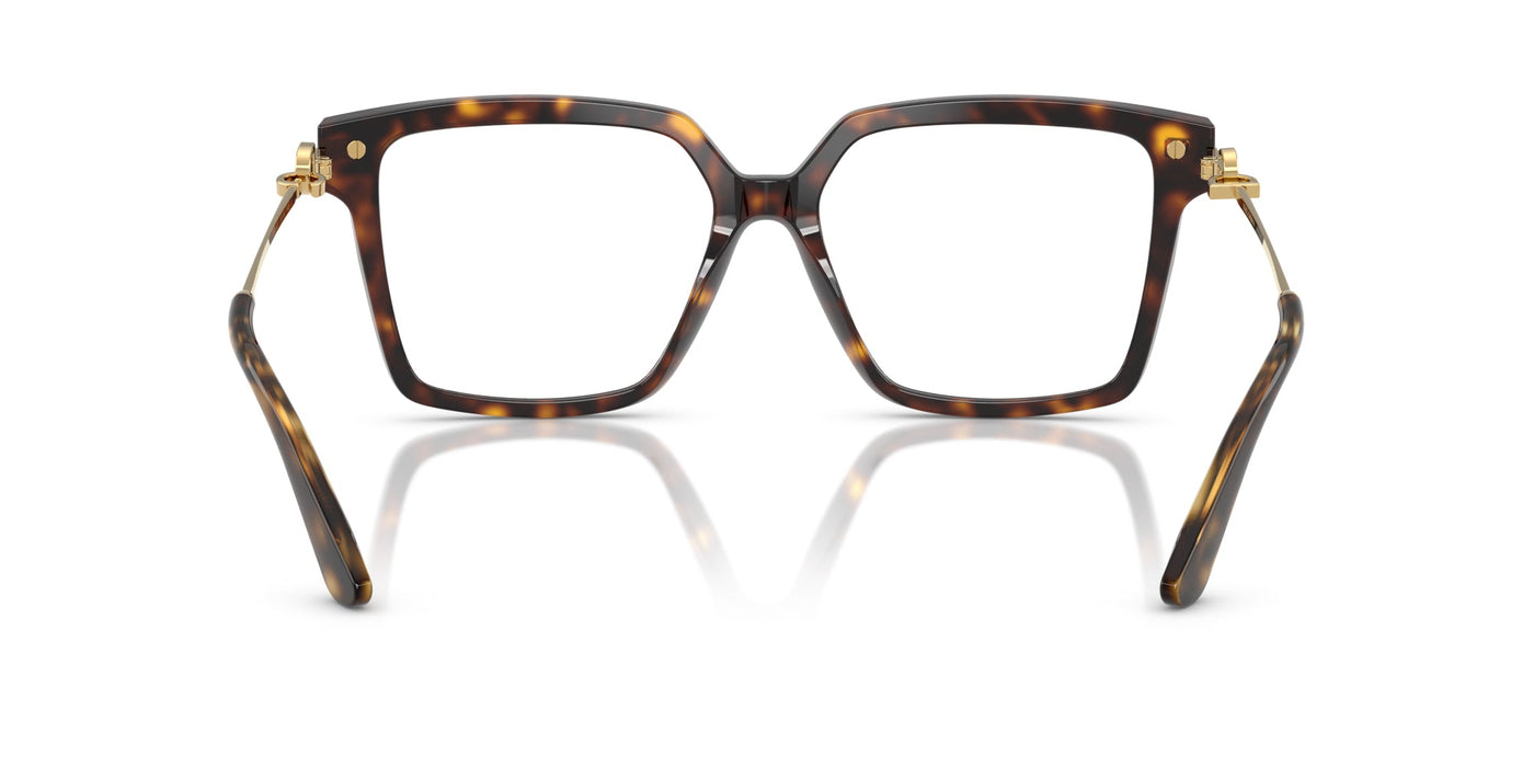 Dolce&Gabbana DG3397 Havana #colour_havana