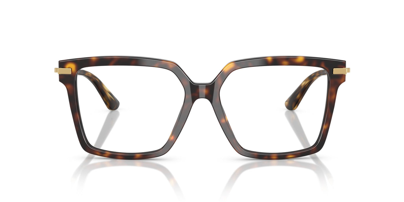 Dolce&Gabbana DG3397 Havana #colour_havana