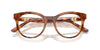 Dolce&Gabbana DG3399 Havana Leo #colour_havana-leo