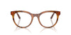 Dolce&Gabbana DG3399 Havana Leo #colour_havana-leo