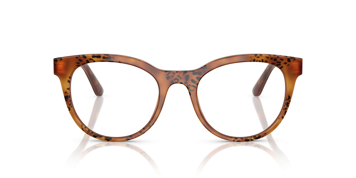 Dolce&Gabbana DG3399 Havana Leo #colour_havana-leo