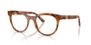 Dolce&Gabbana DG3399 Havana Leo #colour_havana-leo