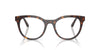 Dolce&Gabbana DG3399 Havana #colour_havana