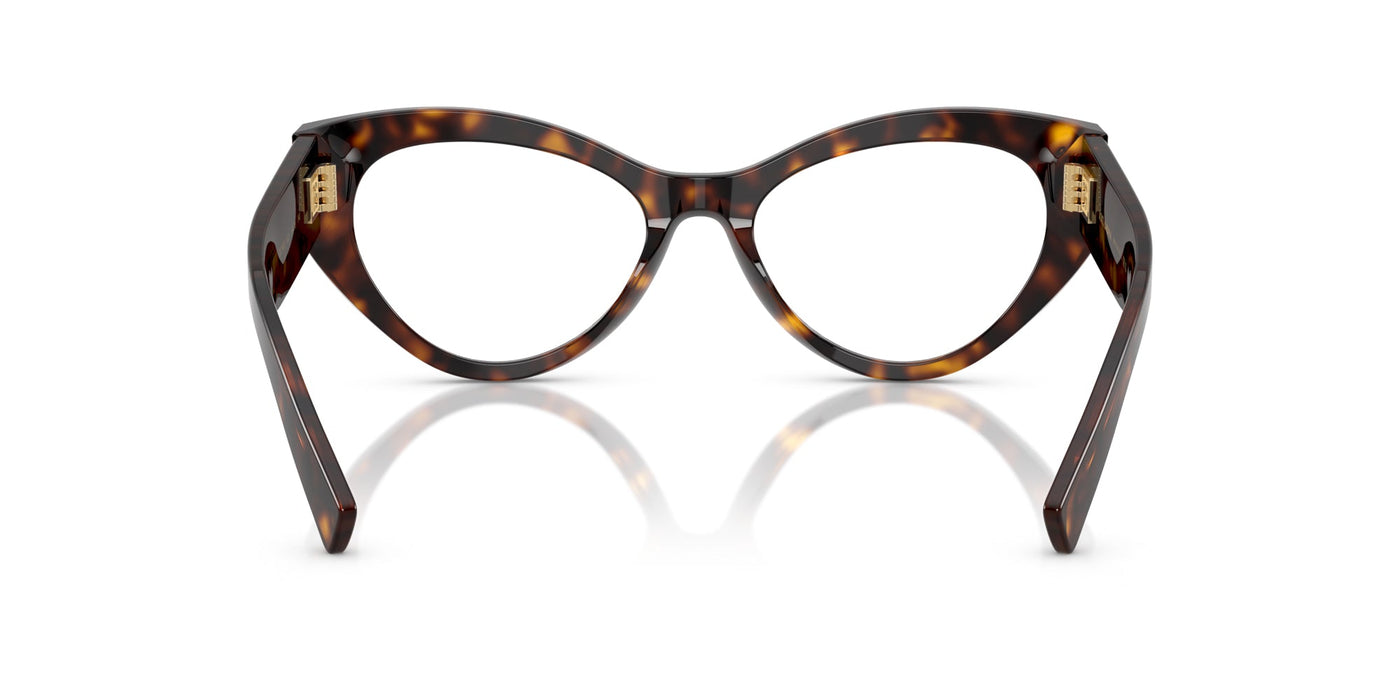 Dolce&Gabbana DG3403 Havana #colour_havana