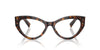 Dolce&Gabbana DG3403 Havana #colour_havana