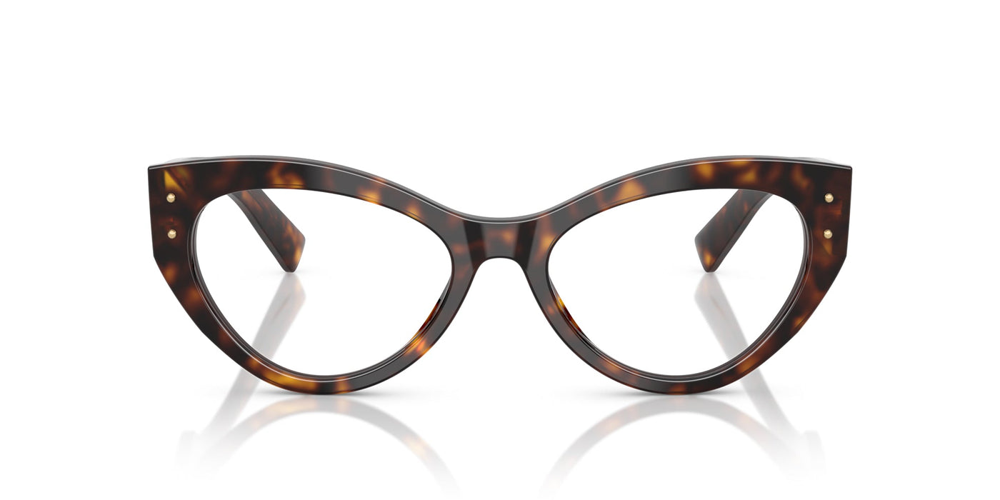 Dolce&Gabbana DG3403 Havana #colour_havana