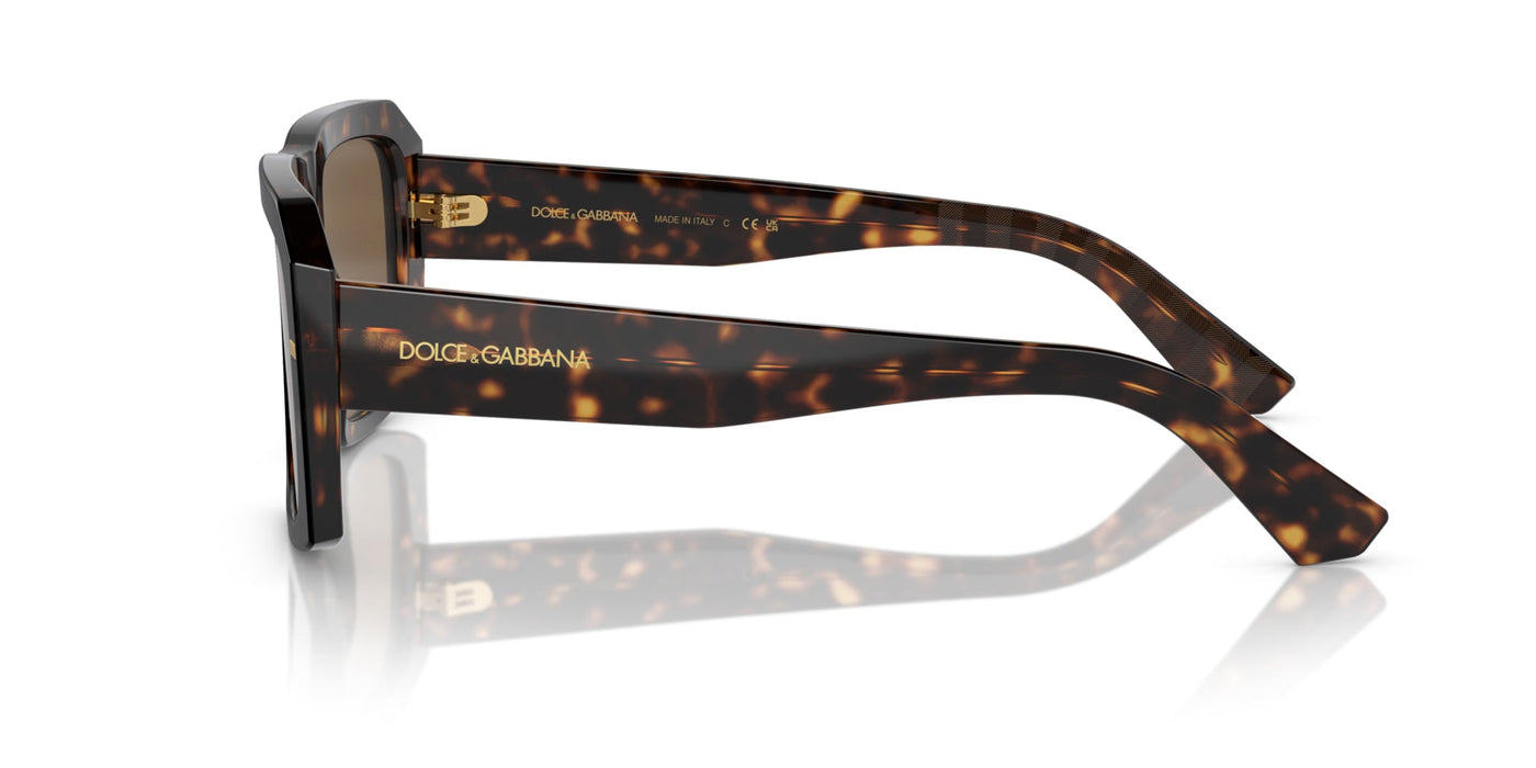 Dolce&Gabbana DG4430 Havana/Dark Brown #colour_havana-dark-brown