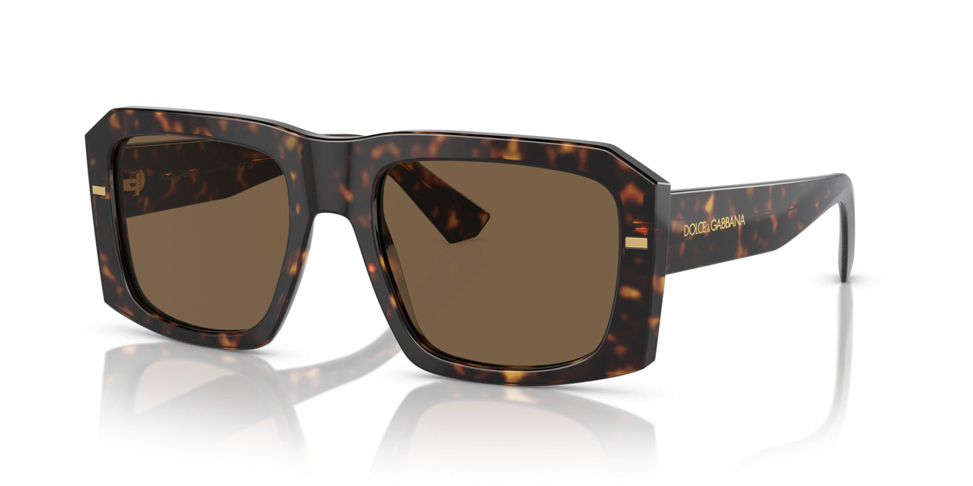 Dolce&Gabbana DG4430 Havana/Dark Brown #colour_havana-dark-brown