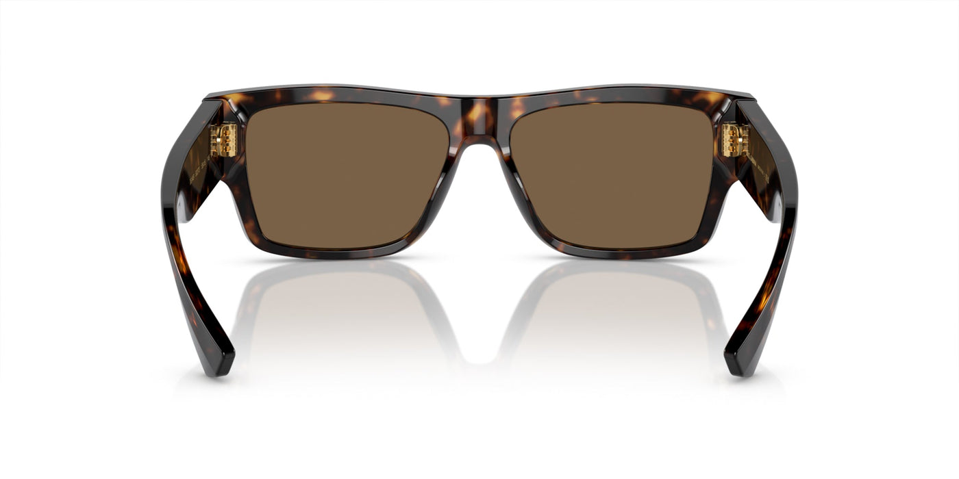 Dolce&Gabbana DG4451 Havana/Dark Brown #colour_havana-dark-brown