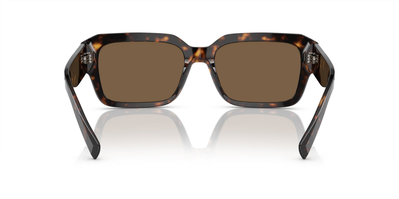 Dolce&Gabbana DG4460 Havana/Dark Brown #colour_havana-dark-brown