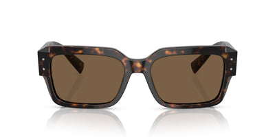 Dolce&Gabbana DG4460 Havana/Dark Brown #colour_havana-dark-brown