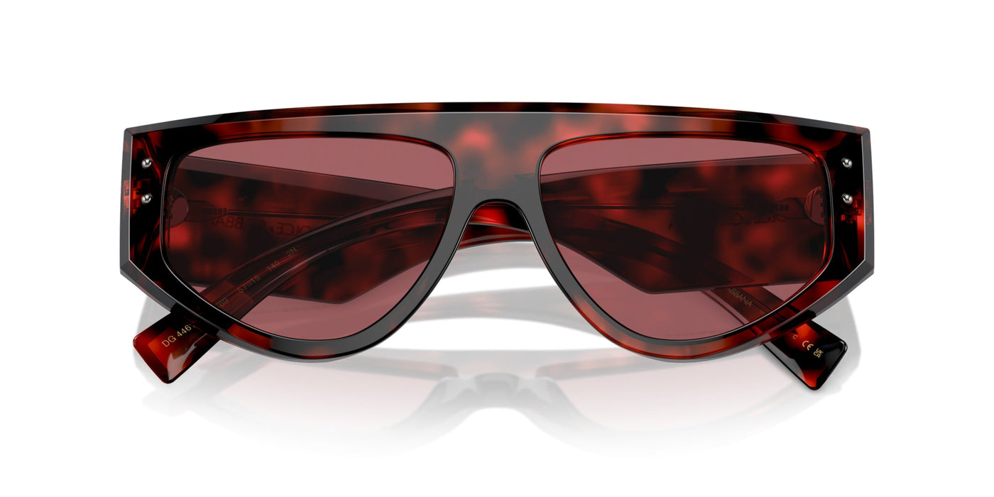 Dolce&Gabbana DG4461 Havana Red/Dark Violet #colour_havana-red-dark-violet