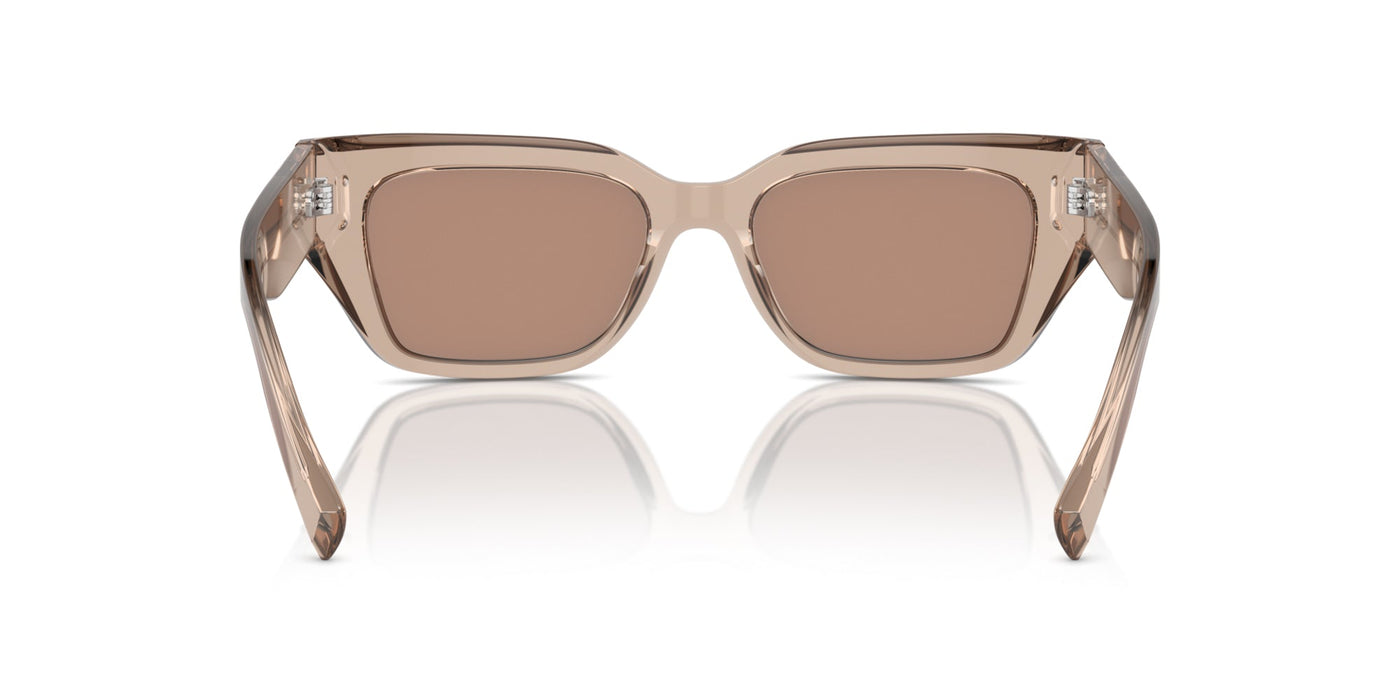 Dolce&Gabbana DG4462 Transparent Camel/Light Brown Flash Gold Mirror #colour_transparent-camel-light-brown-flash-gold-mirror