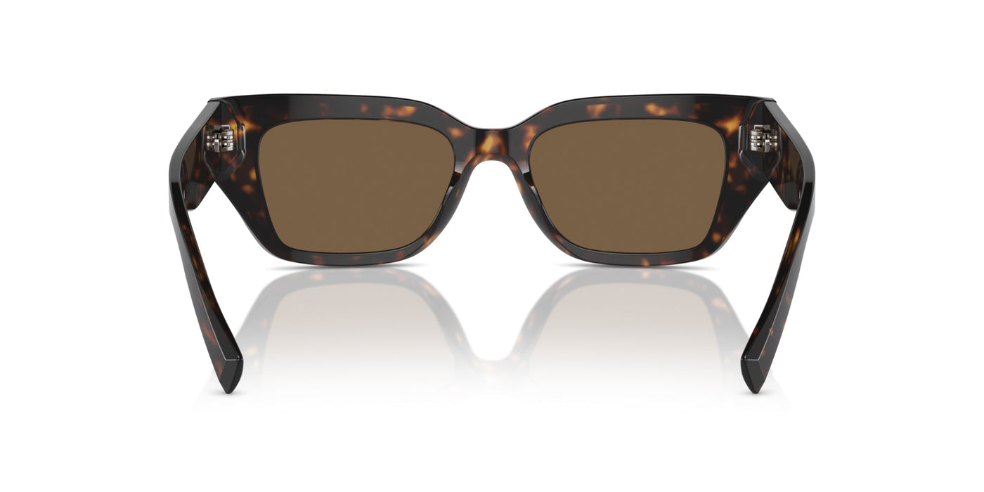 Dolce&Gabbana DG4462 Havana/Dark Brown #colour_havana-dark-brown