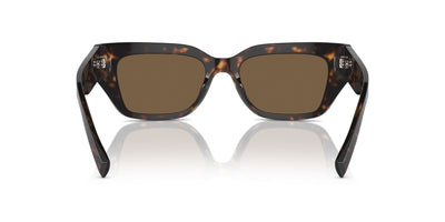 Dolce&Gabbana DG4462 Havana/Dark Brown #colour_havana-dark-brown