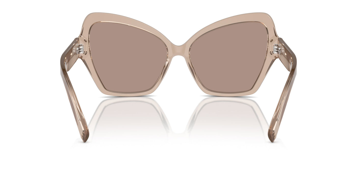 Dolce&Gabbana DG4463 Transparent Camel/Light Brown Flash Gold Mirror #colour_transparent-camel-light-brown-flash-gold-mirror