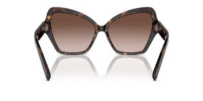 Dolce&Gabbana DG4463 Havana/Brown Gradient #colour_havana-brown-gradient