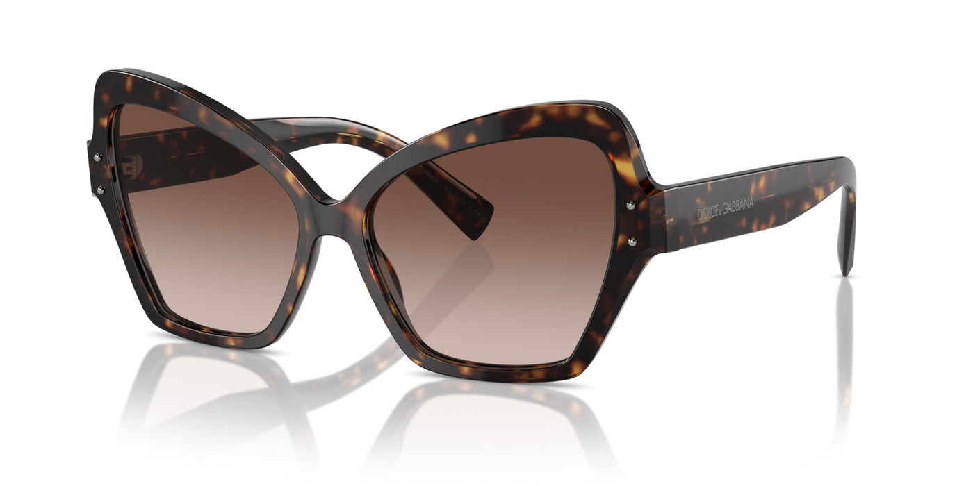 Dolce&Gabbana DG4463 Havana/Brown Gradient #colour_havana-brown-gradient