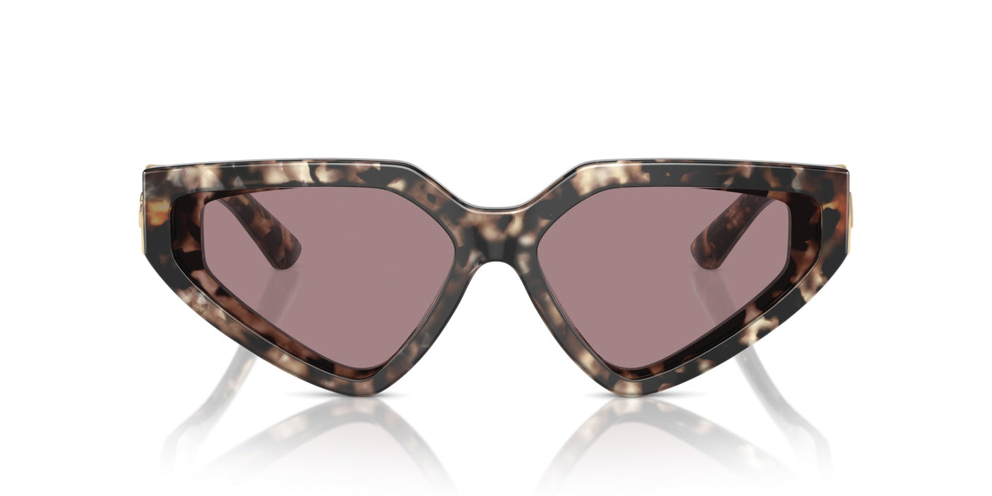 Dolce&Gabbana DG4469 Havana Brown Pearl/Light Purple Brown #colour_havana-brown-pearl-light-purple-brown