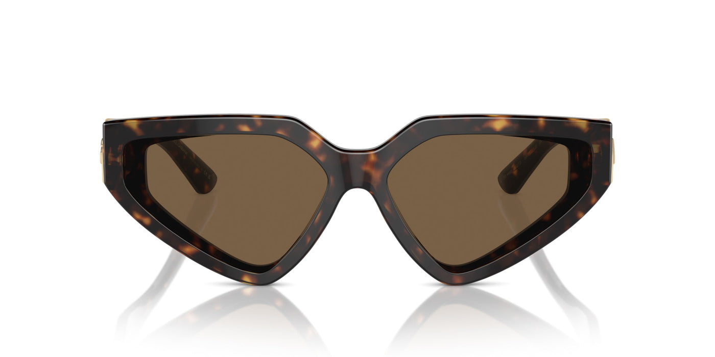 Dolce&Gabbana DG4469 Havana/Dark Brown #colour_havana-dark-brown