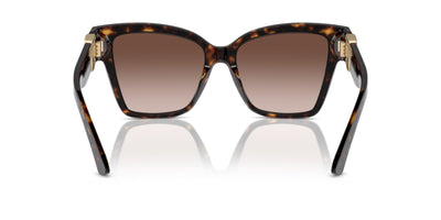 Dolce&Gabbana DG4470 Havana/Brown Gradient #colour_havana-brown-gradient