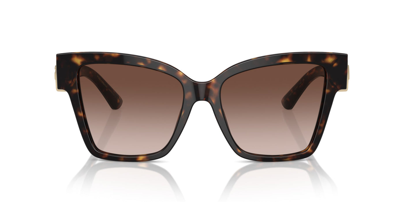 Dolce&Gabbana DG4470 Havana/Brown Gradient #colour_havana-brown-gradient