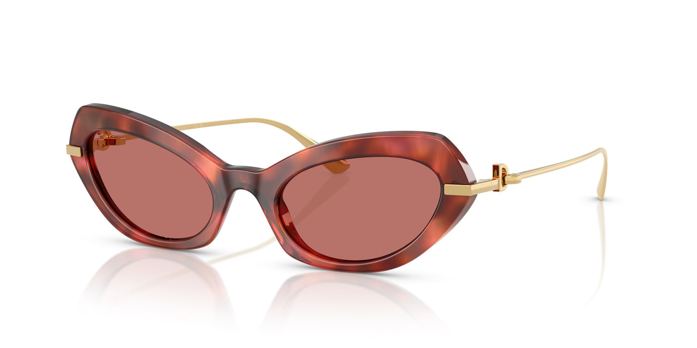 Dolce&Gabbana DG4473 Havana Brown/Dark Violet #colour_havana-brown-dark-violet