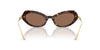 Dolce&Gabbana DG4473 Havana/Dark Brown #colour_havana-dark-brown