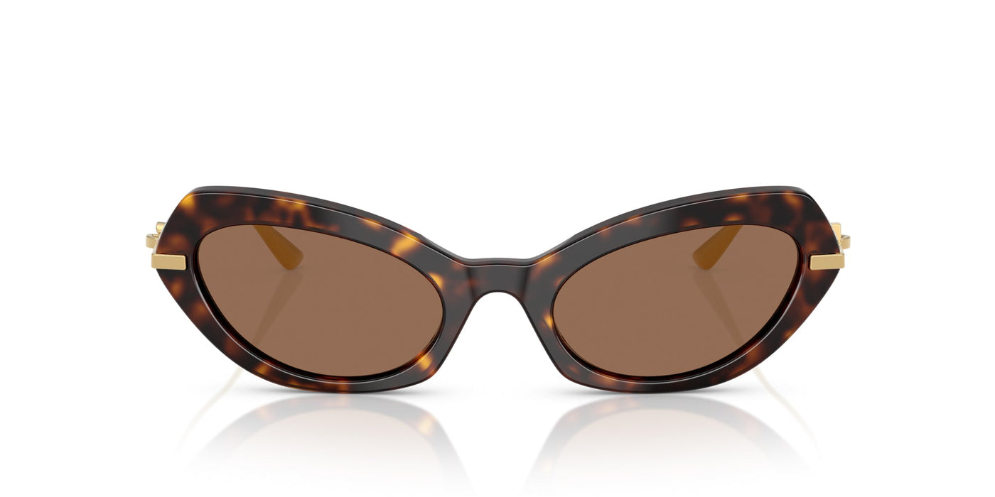 Dolce&Gabbana DG4473 Havana/Dark Brown #colour_havana-dark-brown