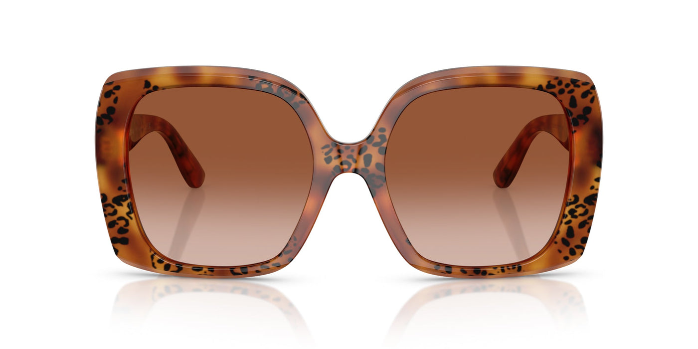 Dolce&Gabbana DG4475 Havana Leo/Brown Gradient #colour_havana-leo-brown-gradient