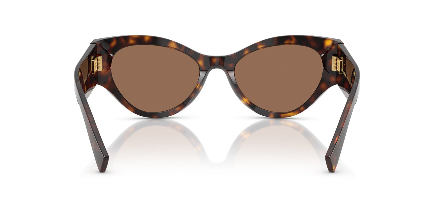 Dolce&Gabbana DG4480 Havana/Dark Brown #colour_havana-dark-brown