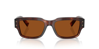 Dolce&Gabbana DG4483 Dark Red Havana/Dark Brown #colour_dark-red-havana-dark-brown