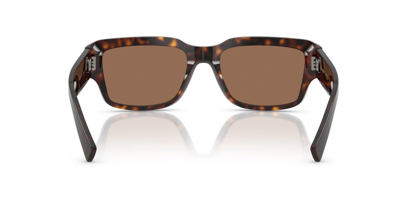 Dolce&Gabbana DG4483 Havana/Dark Brown #colour_havana-dark-brown